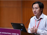Giới khoa học kịch liệt lên án thí nghiệm "biến đổi gene" trẻ sơ sinh