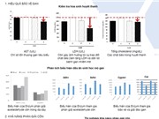 Tinh chất giải rượu từ thảo dược - nguyên liệu ACE