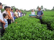Doanh nghiệp và hợp tác xã: Hạt nhân của chuyển giao công nghệ về nông thôn miền núi