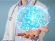 Những người có bộ não lớn hơn sẽ… thông minh hơn