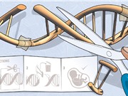 Chỉnh sửa gene người: Bước tiến hay thảm họa?