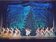 Ballet Kẹp hạt dẻ: Giấc mơ ngọt ngào đêm Giáng Sinh