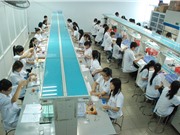 Luật giáo dục đại học mới tác động đến các trường thế nào?