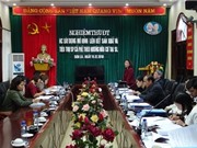 Sơn La: Nghiên cứu xây dựng mô hình liên kết sản xuất và tiêu thụ sản phẩm cà phê theo hướng hữu cơ