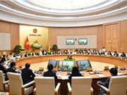 Tái cơ cấu nền kinh tế, đổi mới mô hình tăng trưởng được chỉ đạo, triển khai quyết liệt