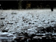 Đừng bất ngờ vì bạn hoàn toàn có thể ngửi thấy “mùi” của mưa
