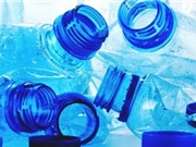 Tạo ra nhựa sinh học nhờ tảo biển