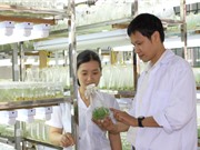 Giáo dục đại học Việt Nam 2019: Những dự báo 