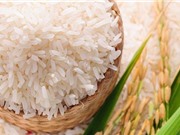 13 sản phẩm nông nghiệp chủ lực quốc gia