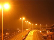 Ô nhiễm ánh sáng ảnh hưởng xấu đến động vật hoang dã