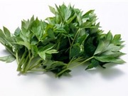 Nhật Bản: Loài thảo dược Ashitaba có chứa tinh chất chống lão hóa