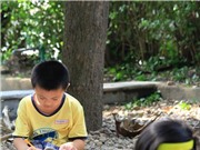 Các chương trình thực nghiệm giáo dục: Để có sức mạnh của tàu phá băng