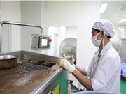 Chứng nhận Doanh nghiệp KHCN liệu đã đủ hấp dẫn?