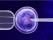 Công cụ chỉnh sửa gene CRISPR có thể làm thay đổi khả năng nhận thức