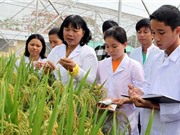 Hợp tác quốc tế trong khoa học công nghệ trước hết cần xác định chiến lược trung hạn
