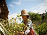 Khởi nghiệp từ tài nguyên bản địa: Chúng tôi vẫn ổn, còn bạn thì sao?