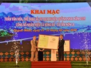 Sơn La: Công bố nhãn hiệu chứng nhận “Cá Sông Đà Sơn La” - “Cá Tầm Sơn La”