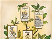 Bí mật tiến hóa của cây chè