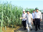 KH&CN các địa phương - Những thực tiễn đặt ra 