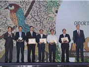 Chỉ số năng lực cạnh tranh cấp tỉnh 2018: Dấu hiệu chững lại ở tốp đầu