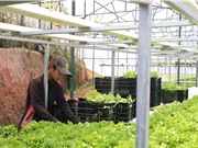 Viện nghiên cứu hạt nhân Đà Lạt: Lò phản ứng nghiên cứu và ứng dụng hiệu quả