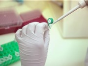 Brazil phát hiện vắcxin chống sốt vàng hữu dụng với Zika