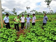 Viện Nghiên cứu sáng chế và Khai thác công nghệ: Điểm đến của các nhà sáng chế không chuyên