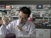Khoa học Mỹ - Trung Quốc: Những hệ lụy do căng thẳng chính trị