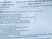 Khi Khá Bảnh, Ngọc Trinh… bước vào đề Văn