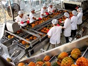 Đồng bằng sông Hồng: Cần thúc đẩy liên kết vùng về KHCN