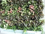 Bà Rịa - Vũng Tàu: Nghiệm thu kết quả thực hiện dự án
