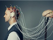 Những hiểu nhầm về trí thông minh của con người