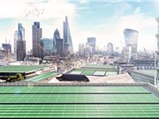 Công nghệ lá quang sinh học giúp lọc sạch không khí