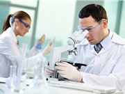 Đức tăng ngân sách cho nghiên cứu khoa học trong thập kỷ tới