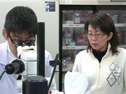 Nhật Bản: Chuyển hướng hợp tác nghiên cứu với châu Âu