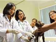 Phòng thí nghiệm trọng điểm CNSH thú y, HVNN Việt Nam: Tiên phong phát hiện dịch bệnh mới nổi