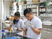 Dự án giải mã 600 giống lúa Việt Nam: Mới chỉ là bước khởi đầu