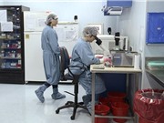 Các trường đại học Đông Âu đạt điểm cao trong xếp hạng bình đẳng giới
