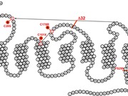 Các em bé chỉnh sửa gene có thể bị giảm tuổi thọ