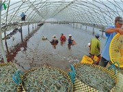 Thủ tướng Nguyễn Xuân Phúc: Phát triển ĐBSCL theo hướng "thuận thiên” 