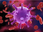 Loại bỏ thành công HIV khỏi bộ gene của chuột