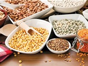 Phân tích hàm lượng độc tố và vitamin trong thực phẩm bằng kỹ thuật cột ái lực miễn dịch