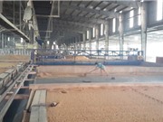 Tiết kiệm chi phí nhờ sấy lúa bằng máy vỉ ngang tự động