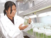 Tăng quyền sở hữu trí tuệ cho doanh nghiệp và nhà nghiên cứu để thúc đẩy đổi mới sáng tạo