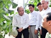 100.000 doanh nghiệp và mục tiêu hàng đầu thế giới về nông sản