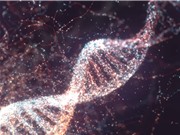 Ứng dụng công nghệ chỉnh sửa gene trên người trong điều trị mù lòa