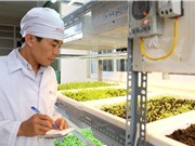 Hoàn thiện công nghệ nền tảng đèn LED trong nông nghiệp