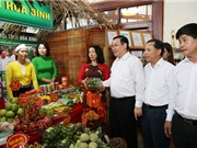 Miền núi phía Bắc tập trung vào xây dựng thôn, bản nông thôn mới
