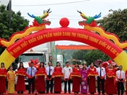 Sơn La xuất khẩu hơn 8 nghìn tấn nhãn trong năm 2019