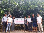 Đồng Nai: Sản xuất bưởi da xanh theo hướng thực hành nông nghiệp tốt